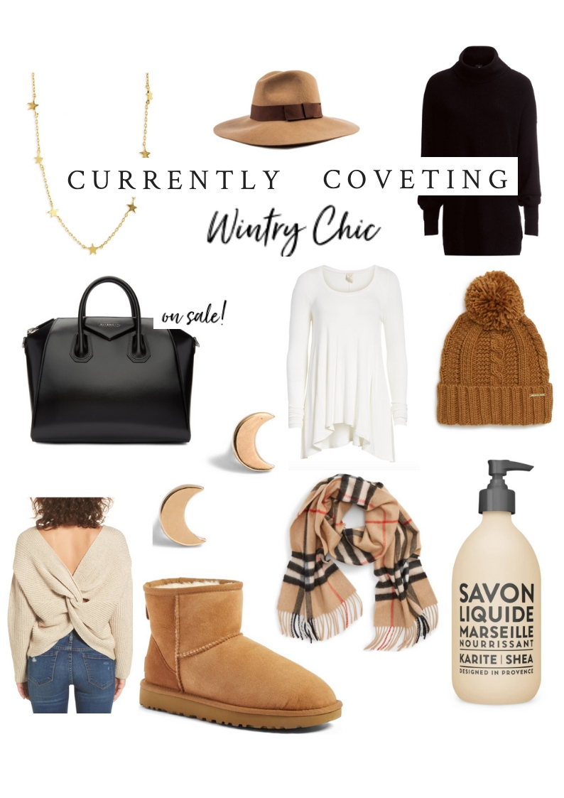 Wintry Chic